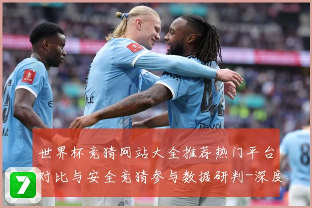 世界杯竞猜网站大全推荐热门平台对比与安全竞猜参与数据研判-深度解析