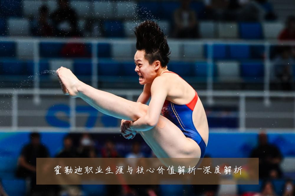 霍勒迪职业生涯与核心价值解析-深度解析