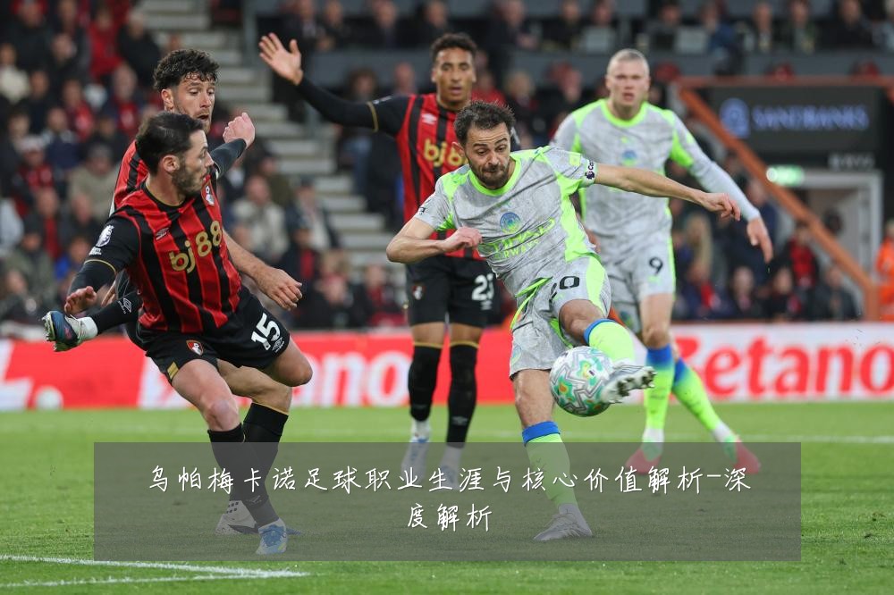 乌帕梅卡诺足球职业生涯与核心价值解析-深度解析